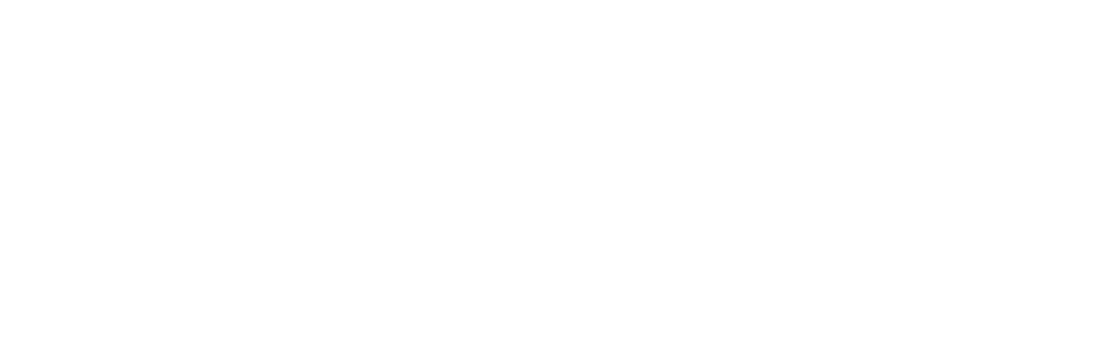 Brandon Hall Group Institute